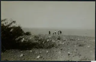 Topography at Soli: several people on a scrubby, stony hillside overlooking the sea, with a bush at the left edge.
