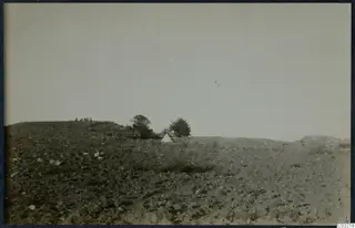 Open stony landscape at Soli with a white tent, two trees and a small group of people on a rise.