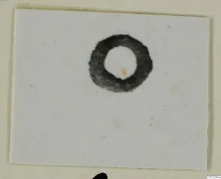 Ring from Marion, a dark circular band on a white card.