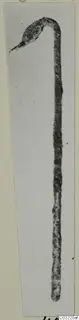 Tool from Marion: a long, slender dark rod with a sharply hooked end, shown as a narrow photograph on a card mount.