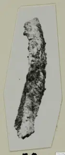 Corroded elongated object from Marion, a fragment with broken ends, photographed on a card mount.