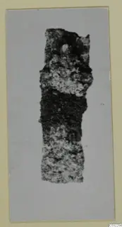 Corroded iron tool fragment from Marion, shown in a photograph