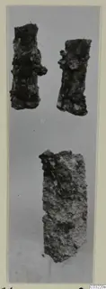 Three corroded iron objects, elongated and encrusted, shown on a grey background