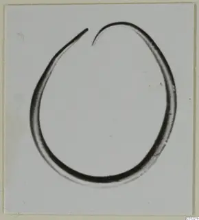 Open thin metal ring, photographed on a light background