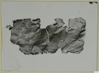 Crumpled, torn thin sheet fragment of gold and silver, photographed against a light card background.