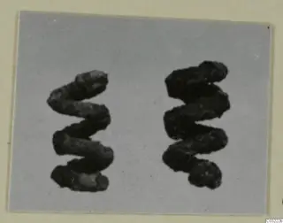 Two corroded metal objects, each a zigzag coil, shown side by side on a grey card.
