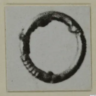 Ring from Marion, a dark circular object photographed close up on a pale mounted card