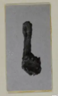 Blurred photograph of a silver pendant lying on a grey card