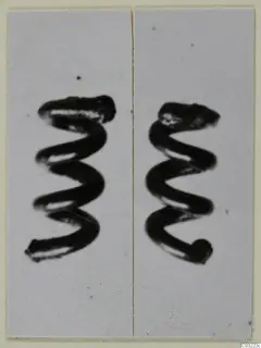 Two spiral coils of thick wire, shown side by side on pale panels of a card mount