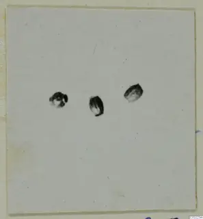 Three small dark objects on a pale card, recorded as gold rings, pins and pendants.