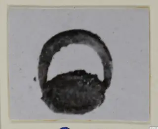 Small photograph of a dark, blurred silver object with a ring-like loop and a rounded mass below