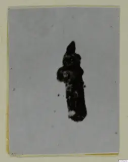 Corroded dark metal find, recorded as silver, shown on a grey backdrop mounted on a card
