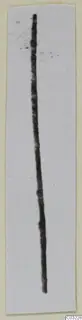 Long thin dark metal object, possibly a pin or wire, shown lying on a narrow pale card strip