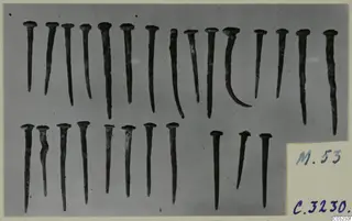 Iron-dark nails laid out in rows on a grey background, from Marion Tomb 53