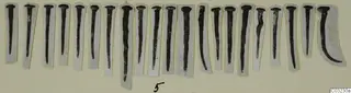 Row of about twenty dark nail-like metal objects, each mounted on a paper strip, from Marion Tomb 53