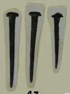 Three nails, each cut out and mounted on a white paper strip against a cream background