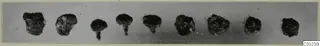 Nine heavily corroded iron objects in a row, some with thin projecting shanks, from Marion tombs 46-60