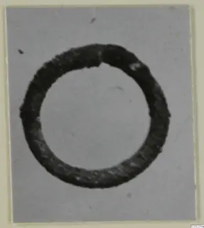 Dark ring-shaped object from Marion, photographed on a grey card