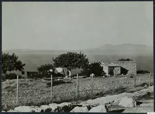 Low stone building with a flat roof beside a tree, with two people near them at Vouni, sea and hills behind