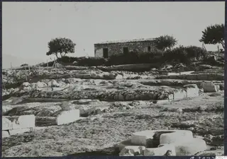 Ruined stone walls and foundations at Vouni Palace, with a small stone building and trees behind.