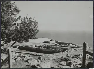 Low stone foundations of ancient walls on a hilltop at Vouni, with a tree at left and the sea beyond.