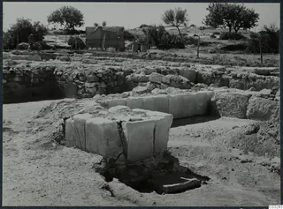 Excavated stone walls and large squared blocks at the palace at Vouni, with a canvas shelter and trees behind