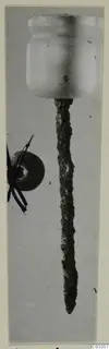 Bronze pin with a pale cylindrical head and a dark ring-shaped object beside it, photographed on a mount.