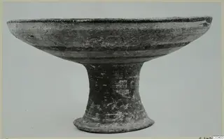 Pottery bowl-jar of Levanto-Helladic ware on a high stem, from Enkomi, shown in side view