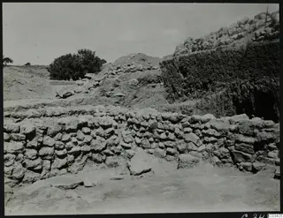 Excavated stone wall at Ayia Irini with a tree and a rising bank of earth and rubble behind it