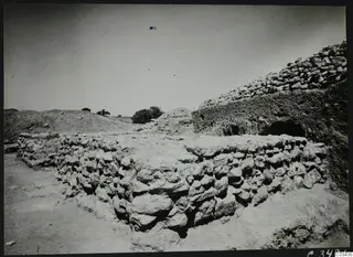 Stone wall at the Ayia Irini temenos, with excavated earth and a shrub in the background