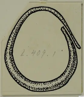 Ink drawing of a gold ring with one tapered end overlapping the hoop, from Lapithos