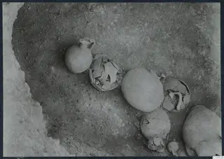Excavated ground at Stylli with pottery vessels, a small jug and rounded bone shapes, possibly skulls