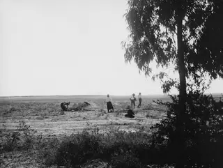 Four people at the Stylli excavation site on a flat, dry field, with a large tree at the right edge.