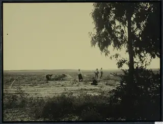 Excavation site at Stylli: four people on open, scrubby ground beside a large tree at the right edge.