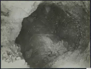 Excavation at Stylli: pottery vessels and bone fragments lying in an excavated pit, seen from above