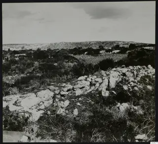 Rocky hillside with scrub and stone outcrops in the Karpas, Nitovikla, with low stone rubble in the foreground.