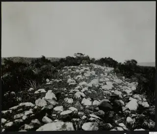 Stones and scrub on a ridge at Nitovikla on the Karpas Peninsula, with trees and low hills behind