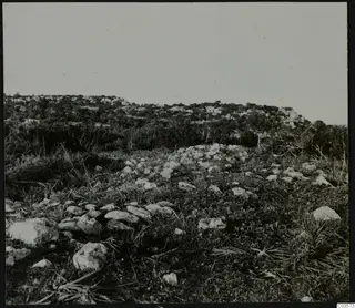 Rocky hillside covered in scrub and scattered limestone stones at Nitovikla on the Karpas Peninsula.