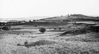 The acropolis of Soli seen from the north-west, across terraced fields and scrubland with a single tree.