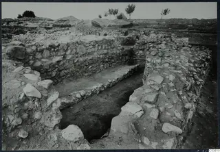 Excavated stone walls and a narrow trench at Soli, with trees and a tent on the far ground.