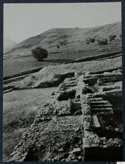 Excavated stone walls and a flight of steps at Soli, with terraced hillside and trees behind