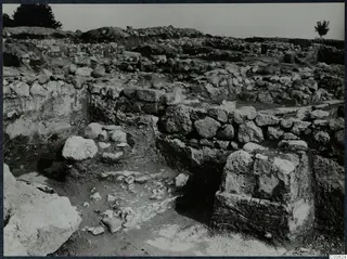 Excavated stone walls and foundations at Cholades, Soli, with a small tree on the right under a pale sky