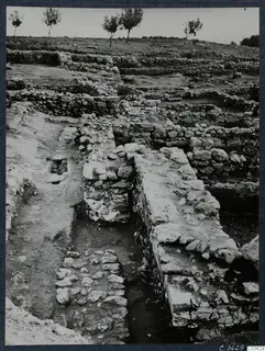 Excavated stone walls at Soli, stepped across a slope, with a paved lane and small trees on the ridge above
