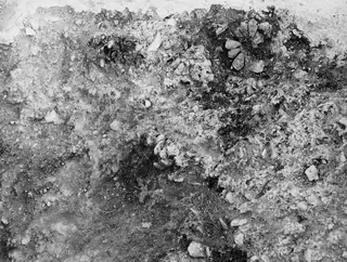 Close view down into an offering pit at Cholades, Soli, with dark lumpy clusters that may be pine cones among the soil