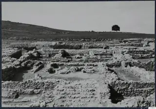 Excavated stone walls and foundations at Soli, Cholades temples, with a grassy hill and a single tree behind