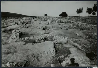 Excavated stone foundations at the Cholades temples A-B at Soli, with trees and a hill behind