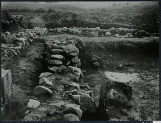 Excavation at the Cholades temples A-B at Soli, with rows of stone walls in trenches and trees on the horizon.