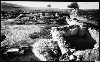 Excavated stone wall foundations at Soli, Cholades temples, with trees on the skyline