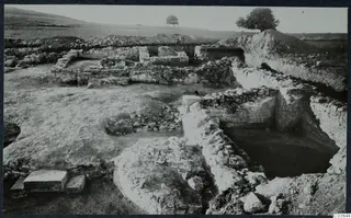 Excavated wall foundations at Temples A-B, Cholades, Soli, with two trees on the horizon