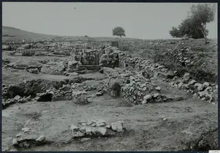 Excavated stone walls and foundations at Temples A-B, Cholades, Soli, with trees on the skyline.
